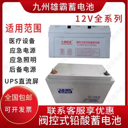 九州雄霸蓄电池6GFM65不间断电源12V100AH40A38A32A24A17AH直流屏