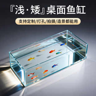 定制金晶超白五线玻璃鱼缸桌面浅水缸迷你缸矮款 缸超白玻璃金鱼缸