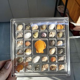 迷你小海螺贝壳海星贝砂高透亚克力收纳盒金豆首饰展示盒摆件大号