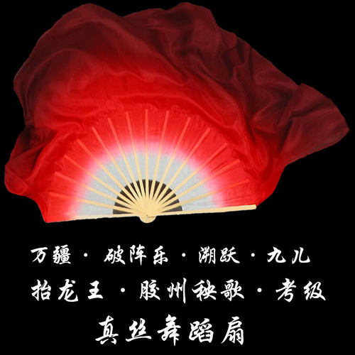 少儿舞蹈破阵乐舞蹈真丝扇万疆