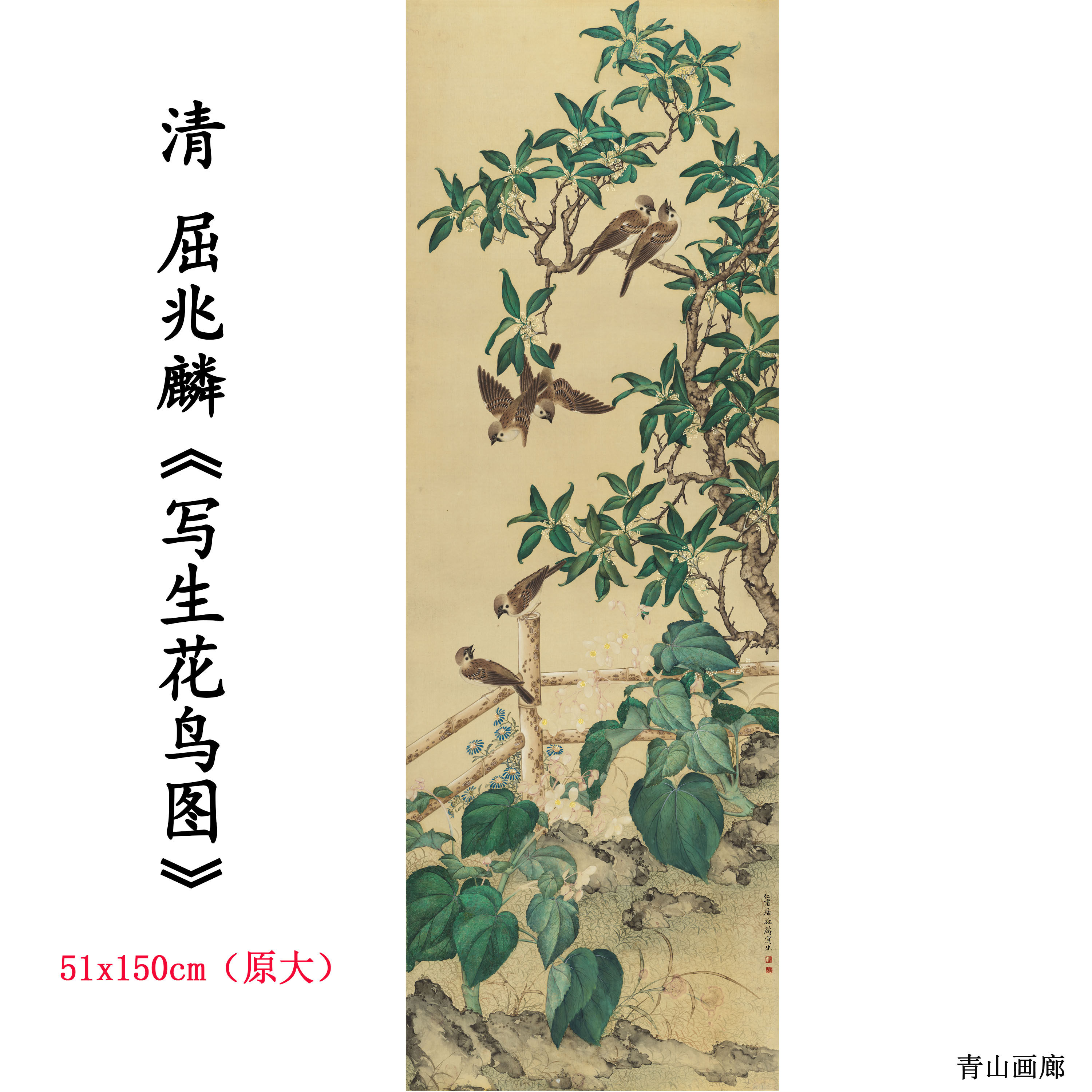 清 屈兆麟 写生花鸟图 水墨画国画挂画高清数字微喷复制临摹