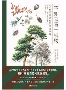 不如一棵树平凡故事德国亚马逊