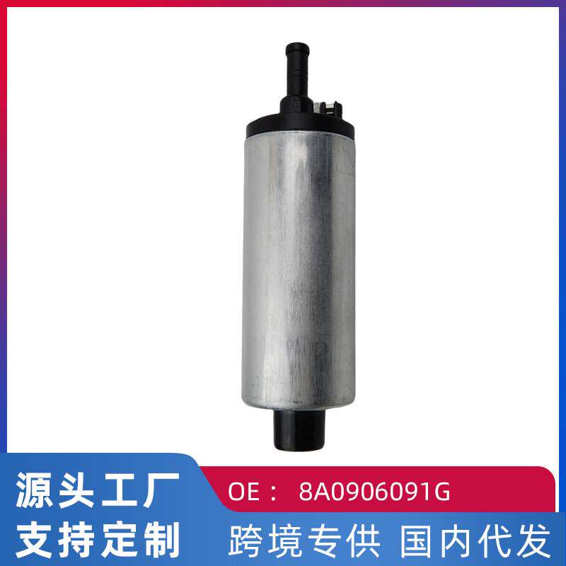 跨境 适用奥迪100/红旗488 汽油泵芯8A0906091G 8A0906091A