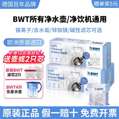 德国倍世BWT净水壶去垢加强滤芯
