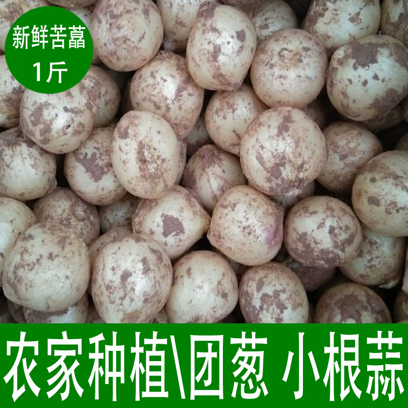 新鲜苦藠团葱小根蒜1斤