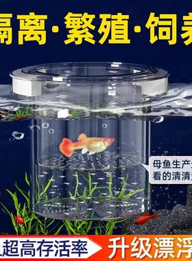 孔雀鱼繁殖盒幼鱼鱼缸隔离斗鱼鱼苗产卵器热带鱼亚克力隔离孵化盒