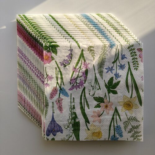 春夏小野花印花派对餐巾纸巾蝶骨巴特 Wildflower Party Napkins