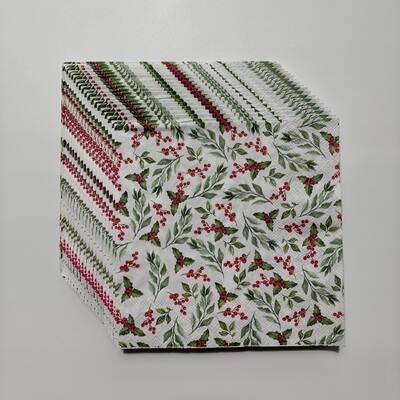 槲寄生派对纸巾圣诞家居装饰 Mistletoe Christmas Party Napkins