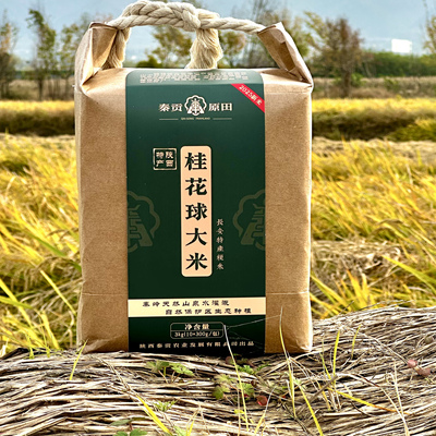 【秦贡原田】秦岭老品种长安桂花球大米2025新米蒸饭米农场直发