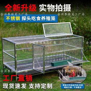 不锈钢鸡笼家用特大号养殖笼探头吃食室内加密加厚室外防黄鼠狼蛇