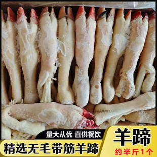 新鲜冷冻羊蹄子烧烤羊蹄内蒙古羊蹄20斤40个左右商用羊头馆卤羊蹄
