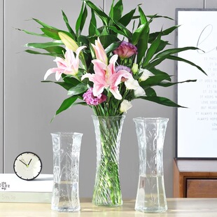 特大号玻璃花瓶摆件客厅插花轻奢高级感水养鲜花专用水培花瓶家用