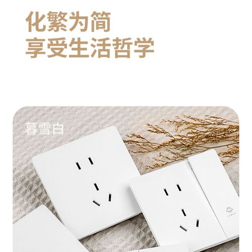 国际电工墙壁开关插座面板家用超薄哑光86型白色系列节能USBusb