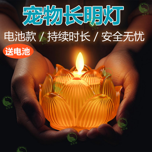 宠物长明灯充电款莲花灯