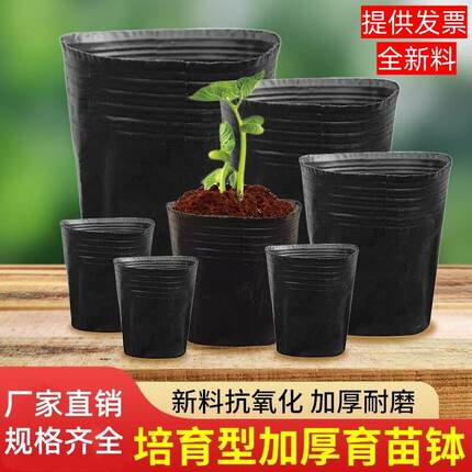 营养杯育苗盆育苗袋育苗杯育苗盒营养钵营养袋加厚塑料一次性花盆