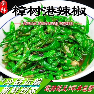 樟树港辣椒5斤富硒新鲜白辣椒现摘虎皮自制卜辣椒农家湘菜纯手工3