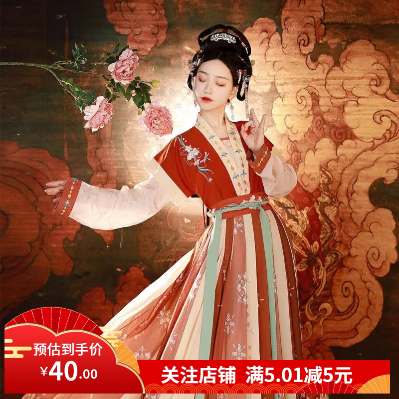 租赁成人汉服女宋制古典舞舞蹈服中国舞古风宋朝服装女装古装出租