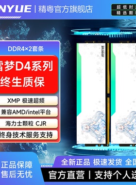 精粤雪梦系列DDR4内存条/马甲条/灯条/全兼容条台式电脑XMP超频条