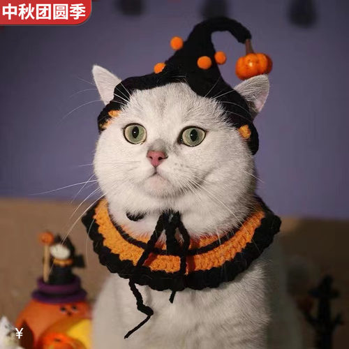 万圣节宠物围脖狗狗项圈猫咪帽子