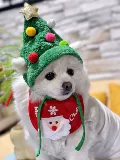 Pet Christian Christian Hat Dog Dog Dog Новая годовальная одежда плюшевая кошка кот кот