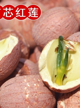 【1斤/2斤】莲子红莲子干货野生莲子带皮带心湘莲新莲子净重