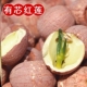 2斤 1斤 莲子红莲子干货野生莲子带皮带心湘莲新莲子净重