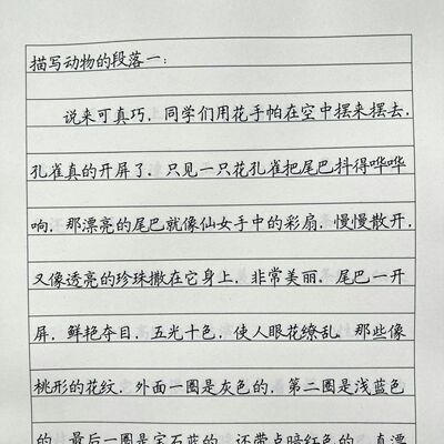 小学优美段落横线格考试卷面提分硬笔楷书书写练习横线格练字帖