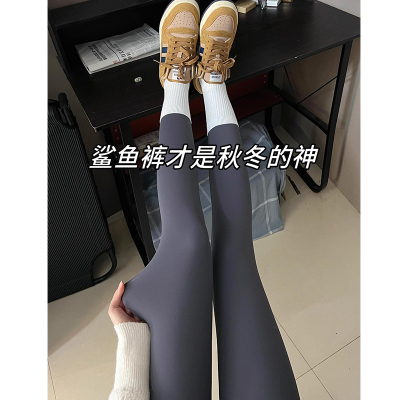 深灰色鲨鱼裤女秋冬季2025新款