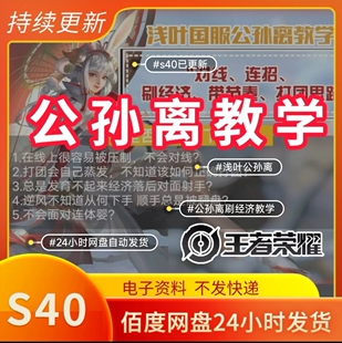 S40王者荣耀国服公孙离刷经济出装铭文打法射手思路意识大局观视