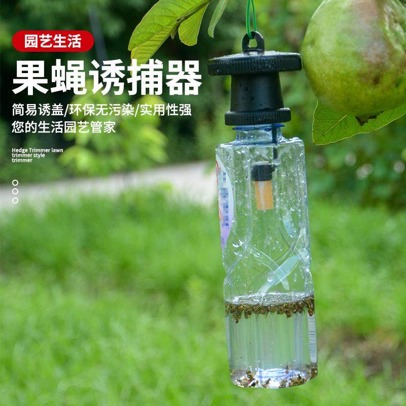 果蝇诱捕器果实蝇捕抓捉容器瓜果蔬菜花卉防虫诱虫性诱剂药水针蜂,鲜花速递/花卉仿真/绿植园艺,花架,淘宝优惠券,粉丝福利购,淘宝优惠卷