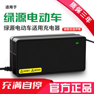 适用绿源电动车充电器原装铅酸电瓶车充电器48V60V72V20E30E40E-T