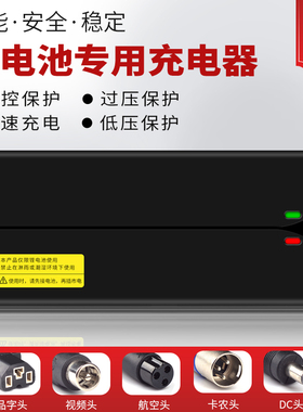 适用于雅迪电动车充电器锂电池专用原装正品卡侬头48V2A3A12A20AH