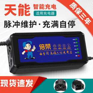 适用天能电动车电瓶充电器48V12AH60V20AH72雅迪爱玛台铃电车通用