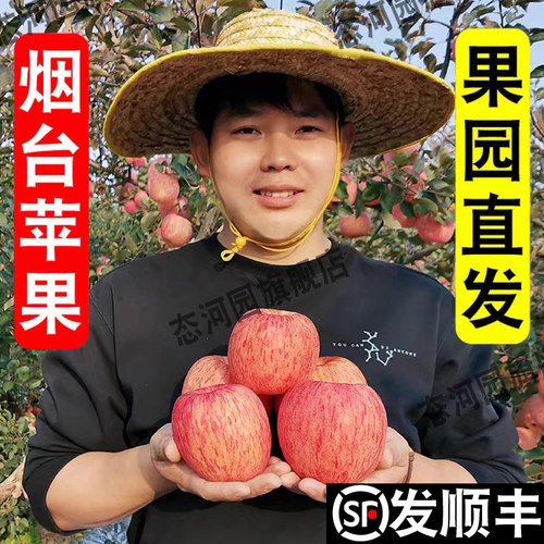 烟台红富士苹果脆甜多汁新鲜的