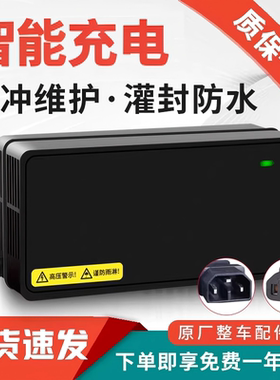 适用新日电动车电瓶充电器48V12AH60V20AH72V通用新国标防触碰