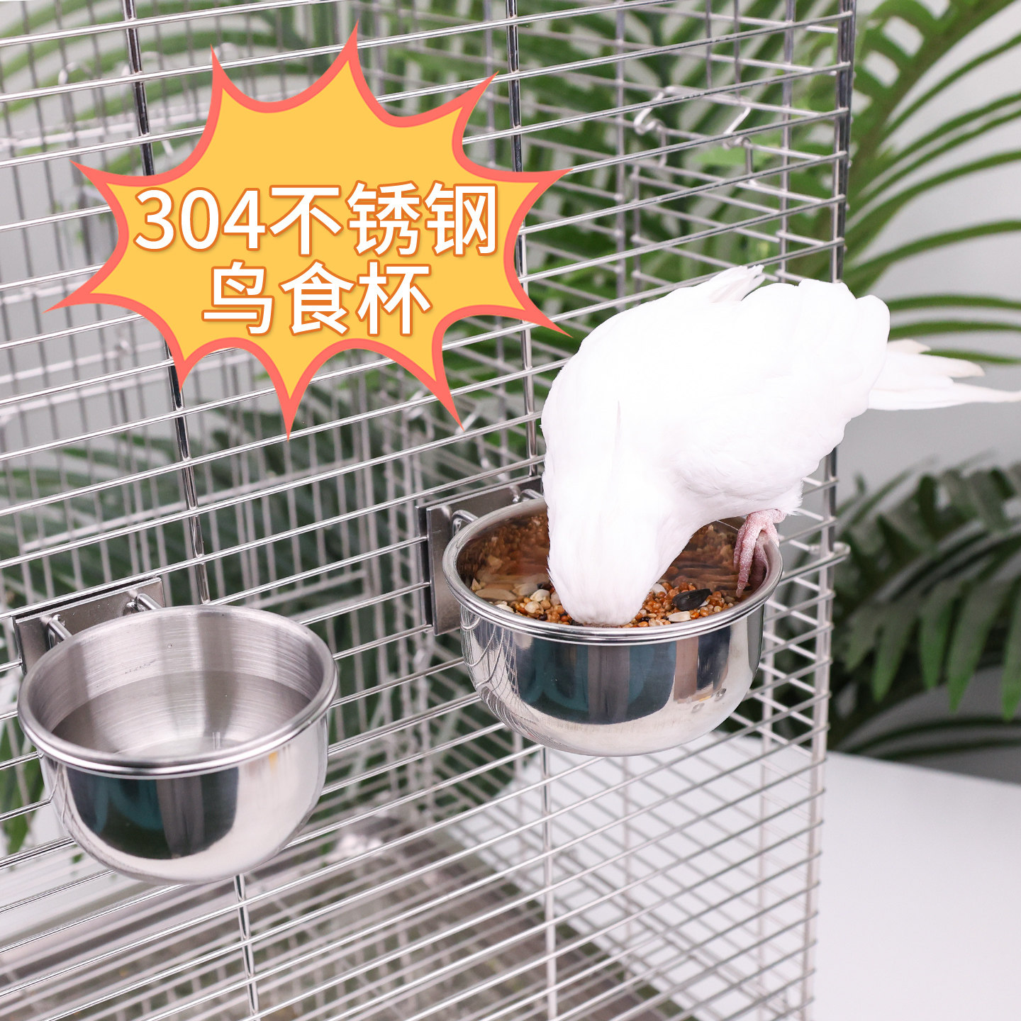 304不锈钢鹦鹉悬挂防滑喂食杯图片