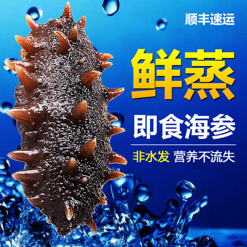 大连刺参新鲜即食海参