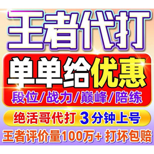 王者荣耀代打代练排位战力巅峰赛省标金标大小国标陪玩养猪流车队