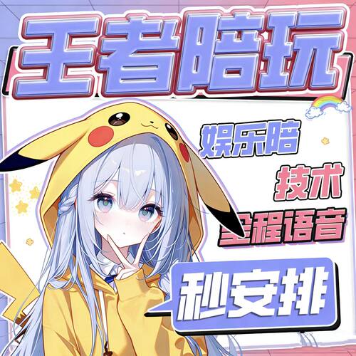 星耀上王者打坏包赔王者荣耀代练王者代打国标省标市标巅峰赛陪玩