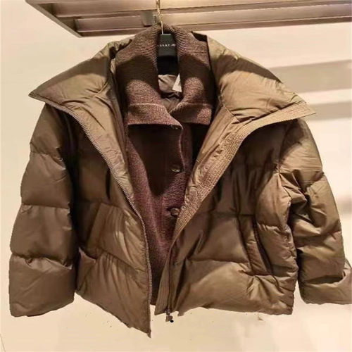 通勤聚酯纤维短款翻领羽绒服
