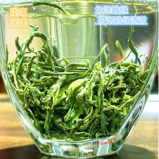 陇南茶叶2024新茶叶雨前绿茶陇南康县优质阳坝特级翠峰礼盒装