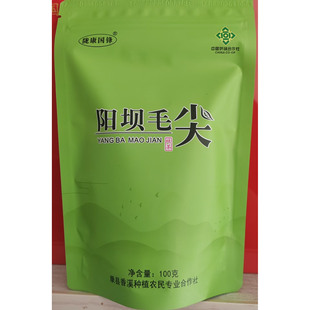 2025新茶春茶陇南高山绿茶阳坝高山云雾一级毛尖