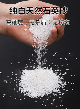 纯白沙子枯山水石头沙造景用白色酒店烟灰缸灭烟沙景观细白石英砂