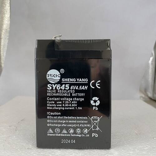 SHENGYANG晟阳蓄电池 SY645 6V4.5Ah玩具车童车 电子称用电瓶