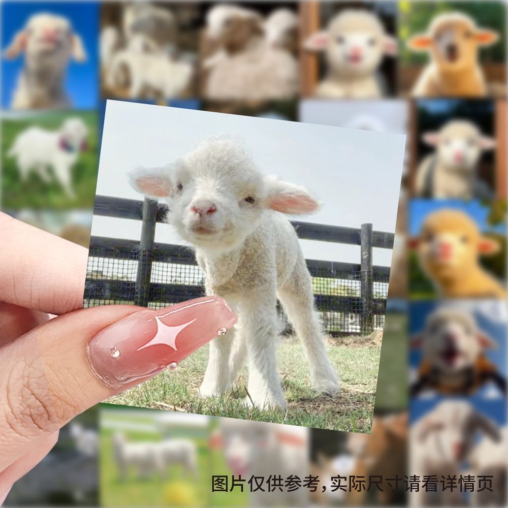 爆款小羊羔贴纸可爱动物装饰手机水杯行李箱笔记本防水diy贴画