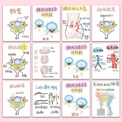48张骨科科普贴纸手绘医