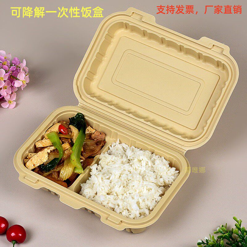 可降解一次性饭盒长方形快餐盒