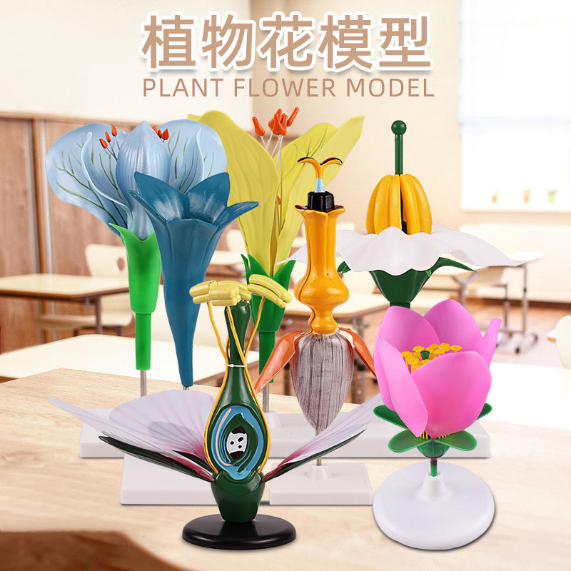 可普桃花苹果土豆油菜豌豆太阳