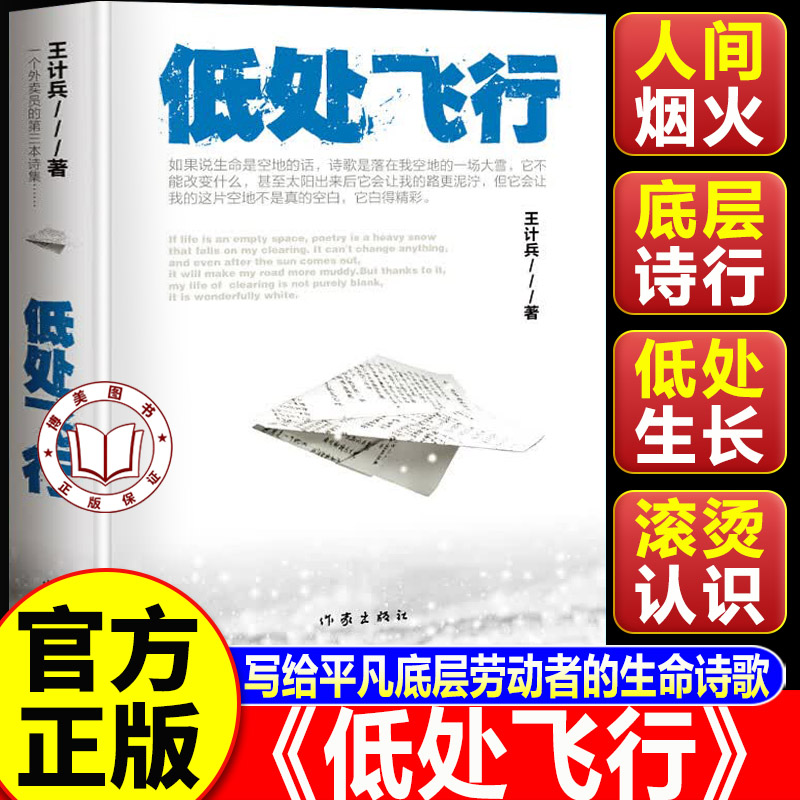 【官方正版】低处飞行 王计兵低处飞行 外卖骑手真实人生书写 用诗歌找补生活 普通人且匍匐且飞翔的日常赶时间的人