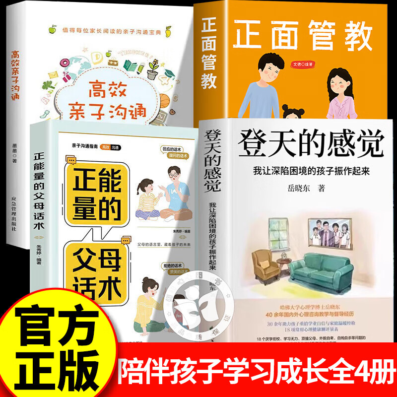 【认准正版】登天的感觉正版岳晓东 我让深陷困境的孩子振作起来心理咨询基础入门书籍